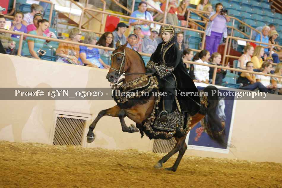 Proof 15YN_05020
