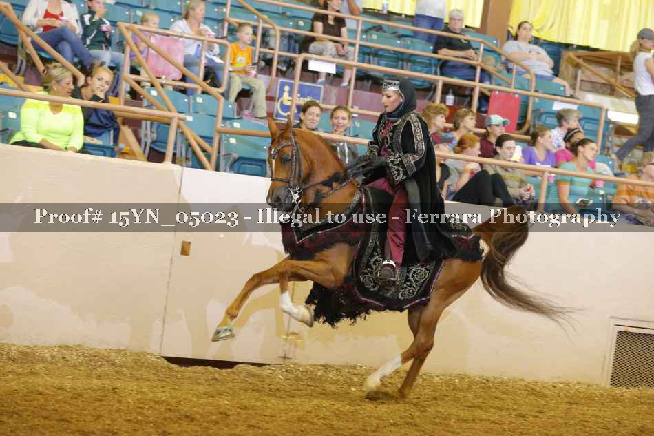 Proof 15YN_05023