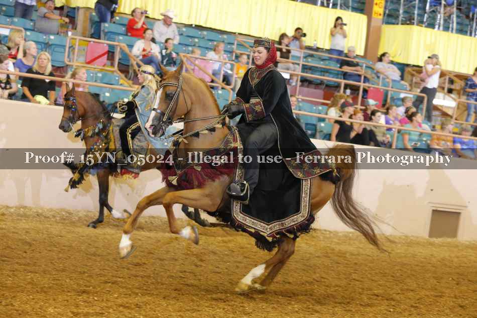 Proof 15YN_05024