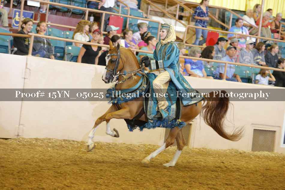 Proof 15YN_05025