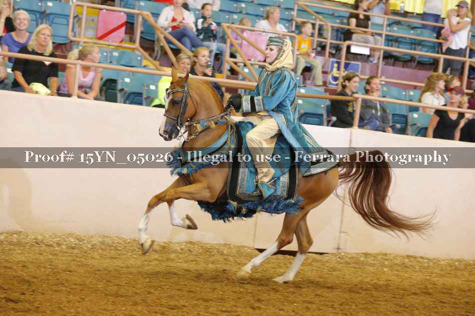 Proof 15YN_05026