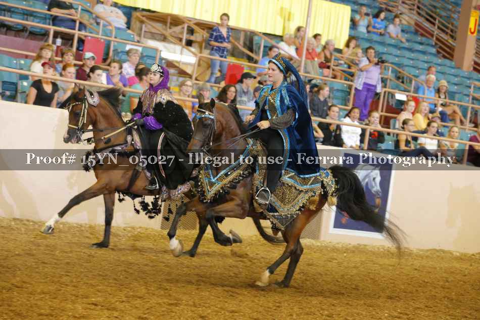 Proof 15YN_05027