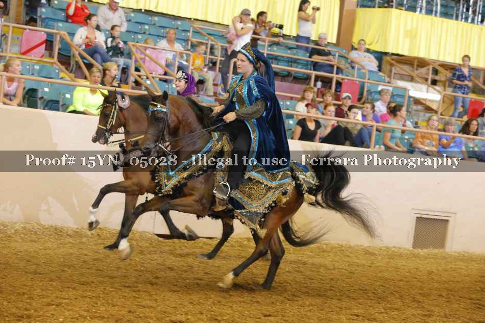 Proof 15YN_05028
