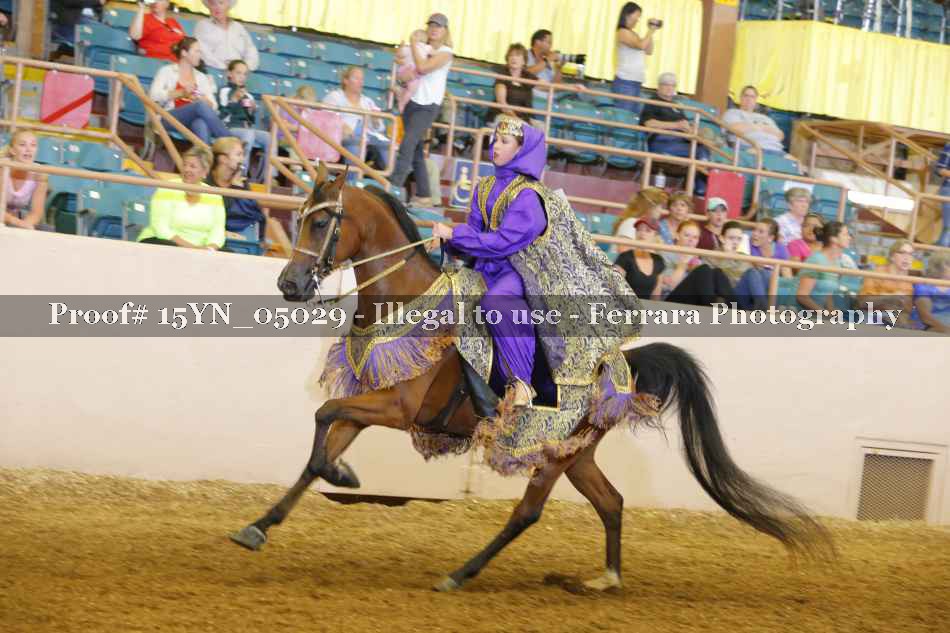 Proof 15YN_05029