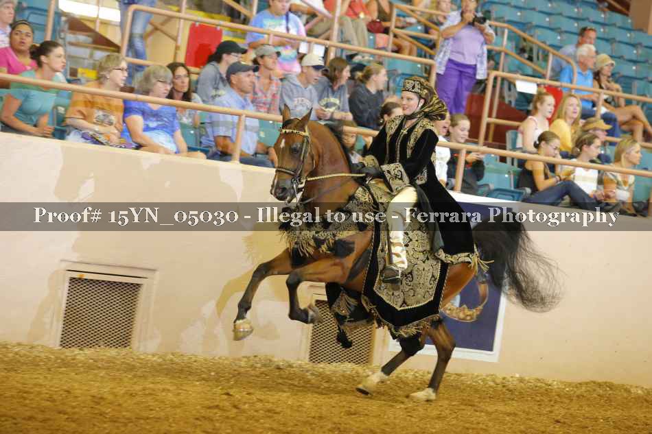 Proof 15YN_05030