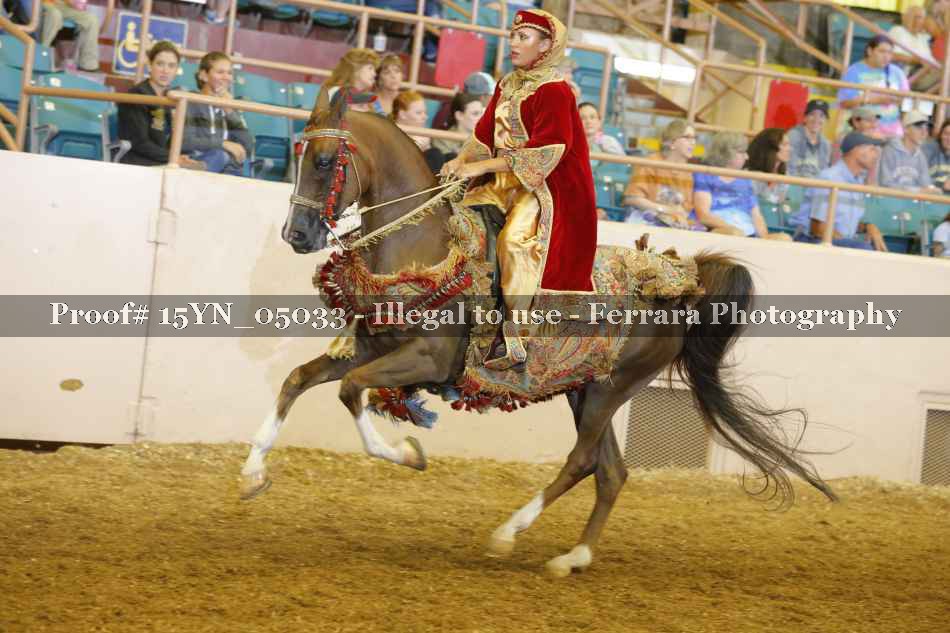 Proof 15YN_05033