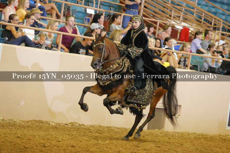 Proof 15YN_05035