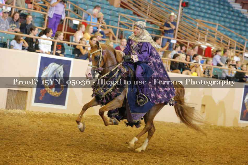 Proof 15YN_05036
