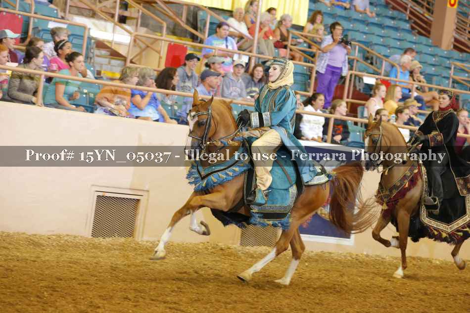 Proof 15YN_05037