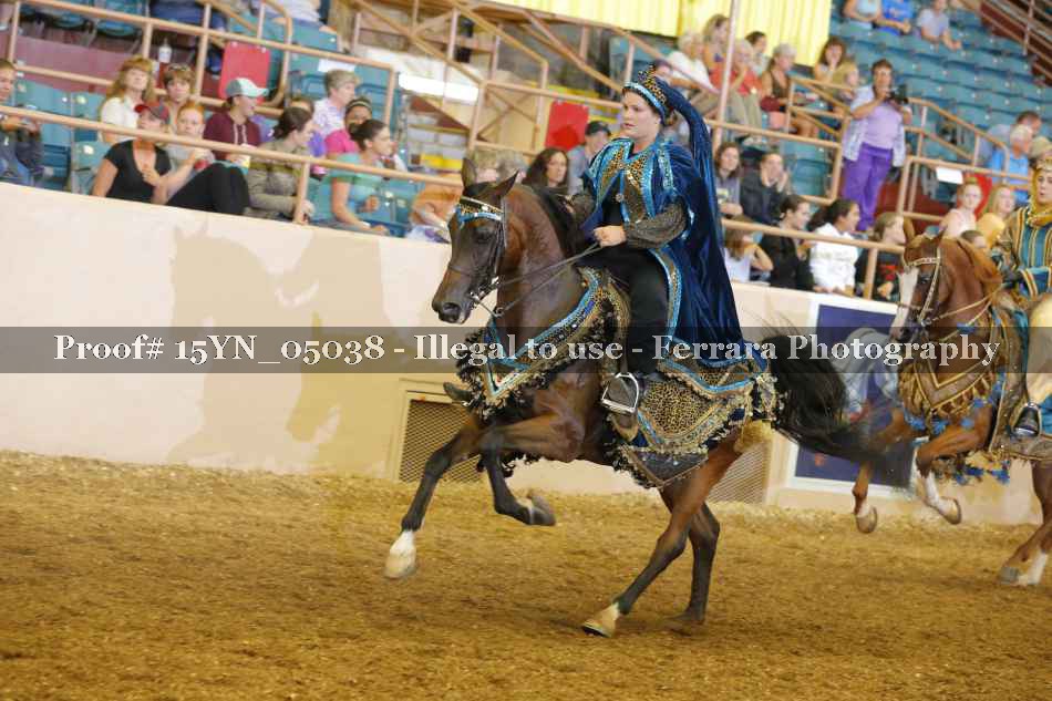 Proof 15YN_05038