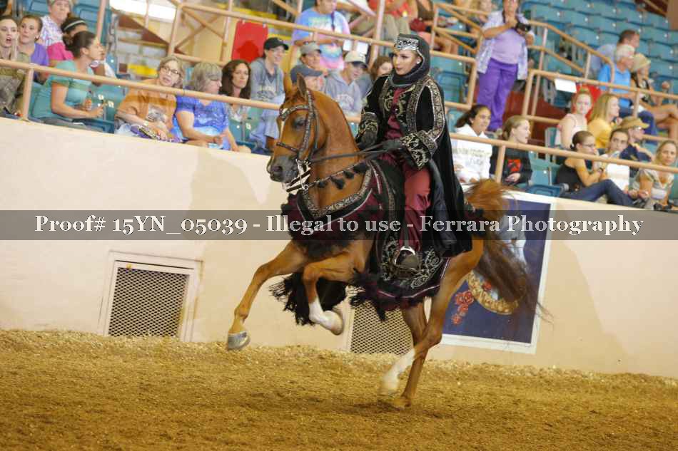 Proof 15YN_05039