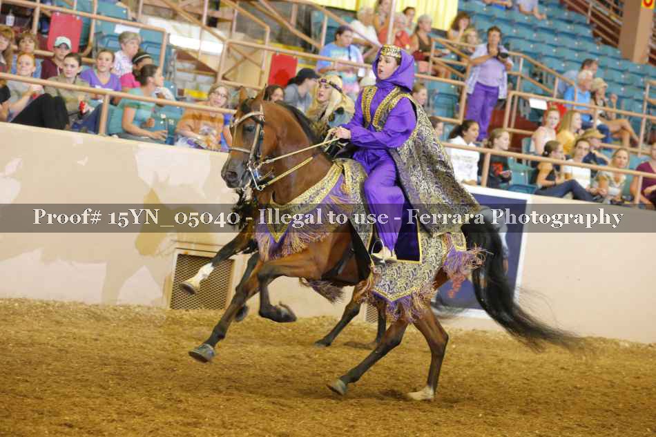 Proof 15YN_05040