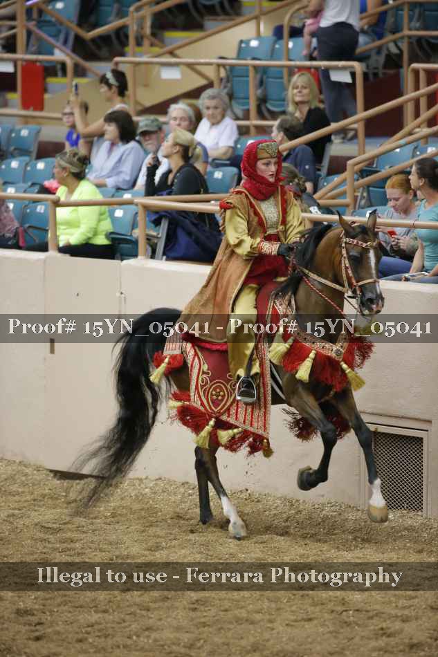 Proof 15YN_05041