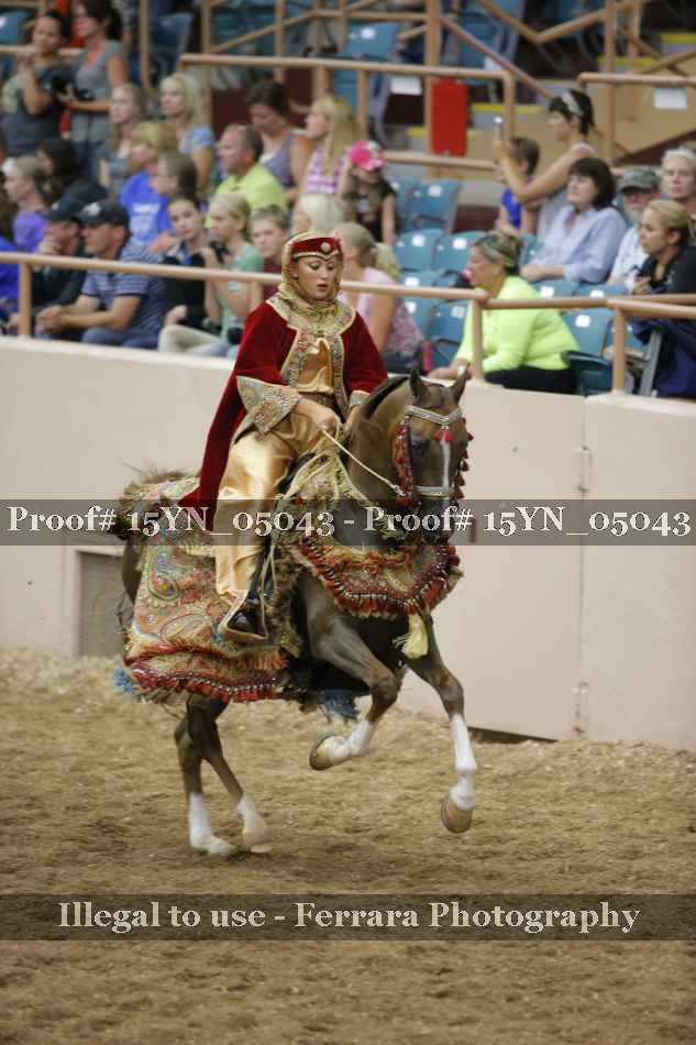 Proof 15YN_05043