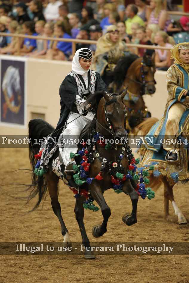 Proof 15YN_05044