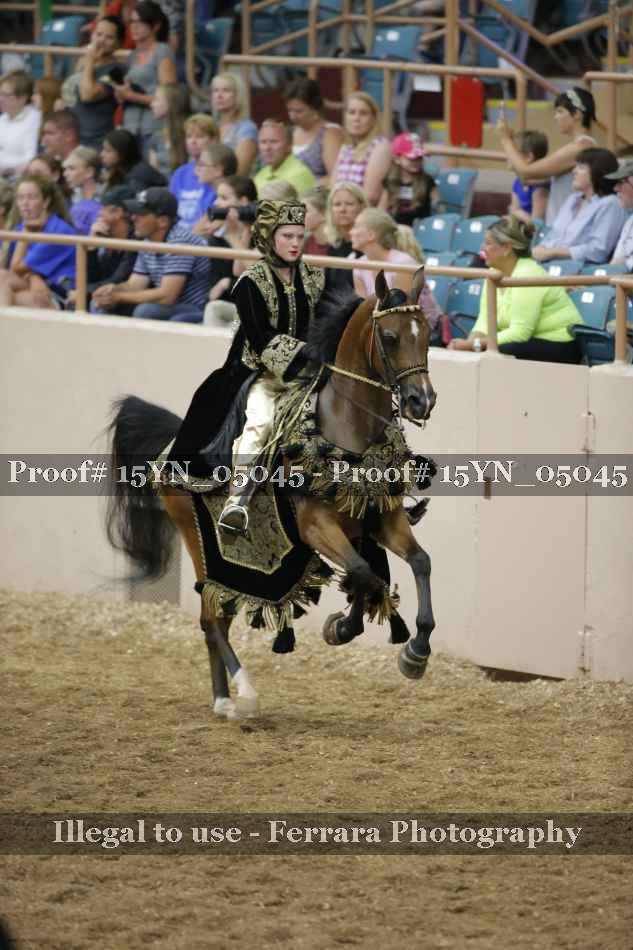 Proof 15YN_05045