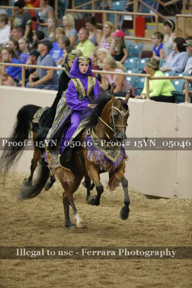 Proof 15YN_05046