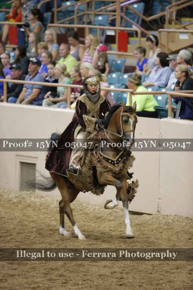 Proof 15YN_05047