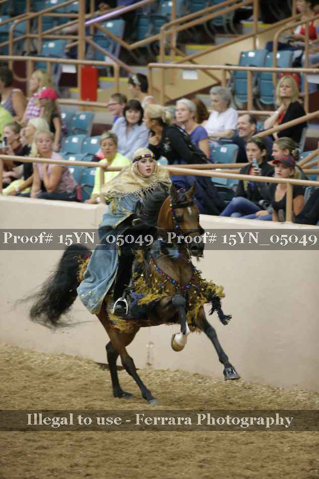 Proof 15YN_05049