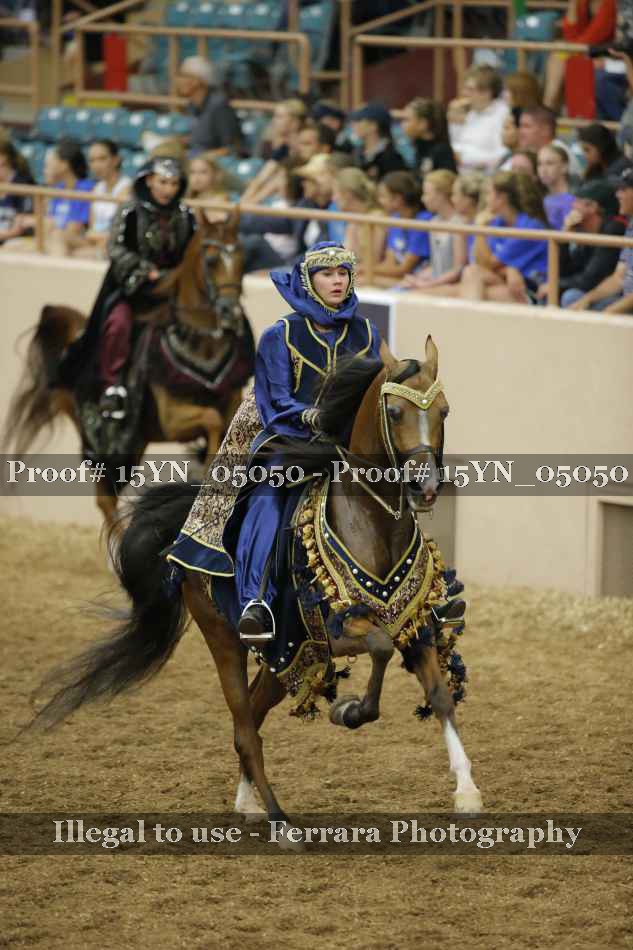 Proof 15YN_05050
