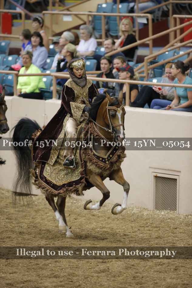 Proof 15YN_05054