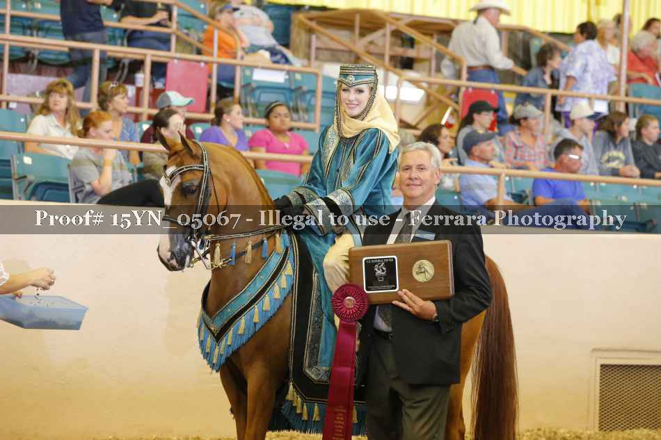 Proof 15YN_05067