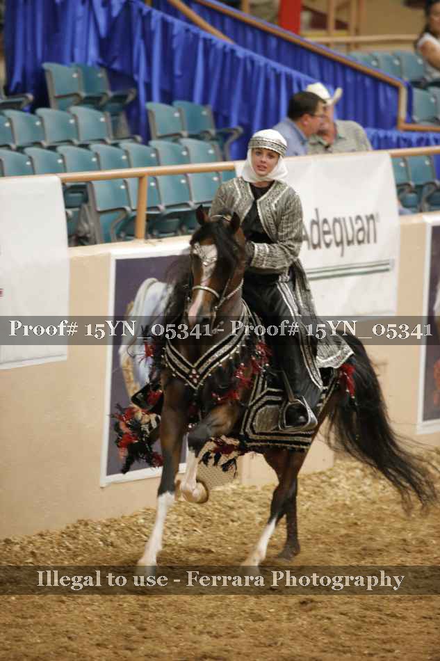 Proof 15YN_05341