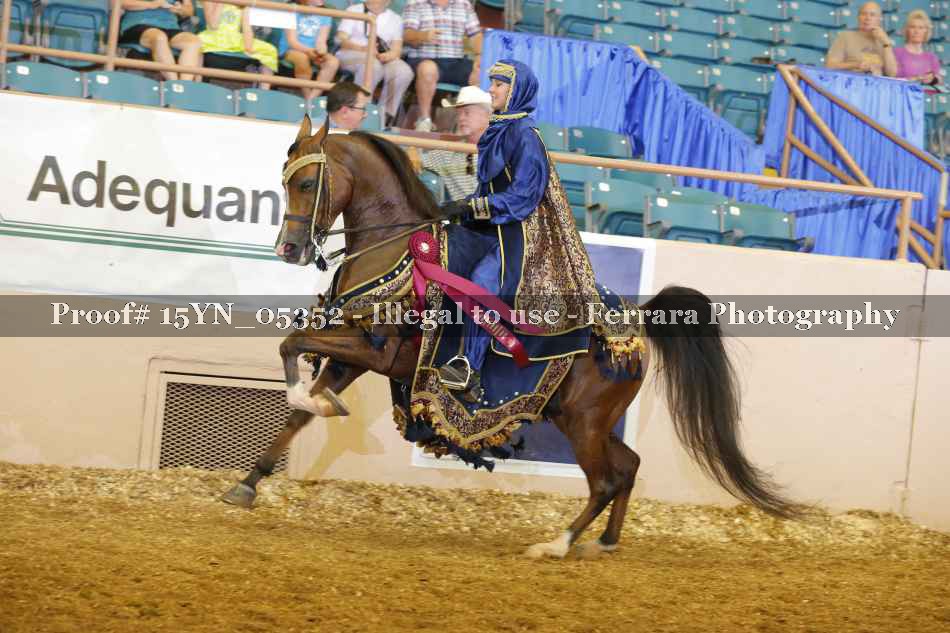 Proof 15YN_05352