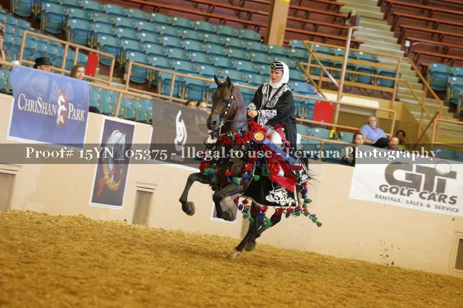 Proof 15YN_05375