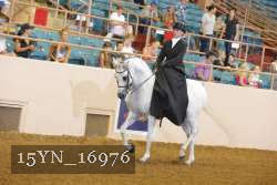 15YN_16976 proof