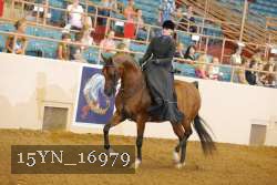 15YN_16979 proof