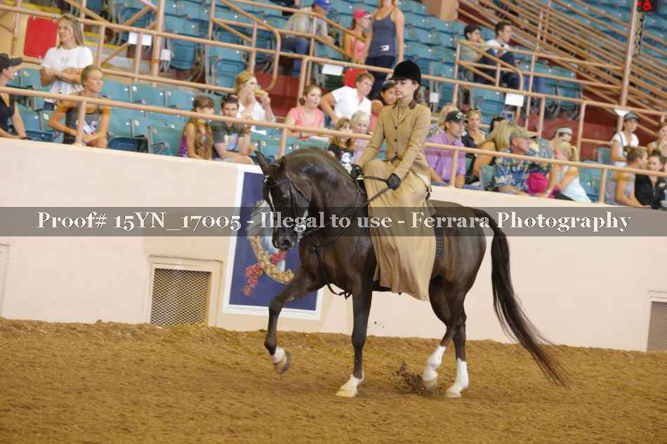 Proof 15YN_17005