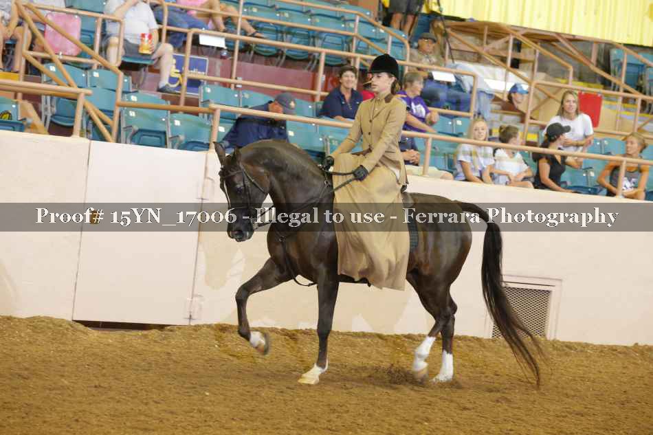 Proof 15YN_17006
