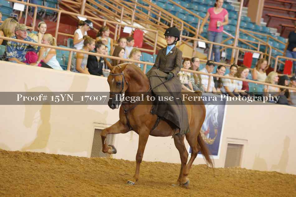 Proof 15YN_17007