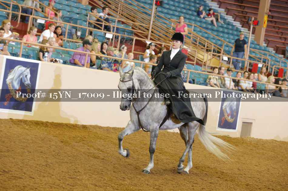 Proof 15YN_17009