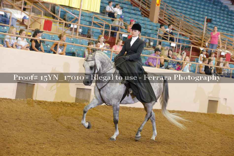 Proof 15YN_17010