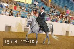 15YN_17010 proof