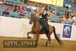 15YN_17011 proof