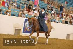 15YN_17012 proof