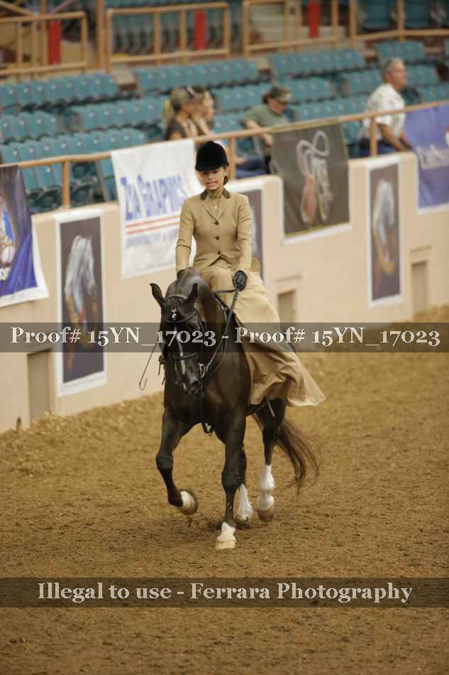 Proof 15YN_17023