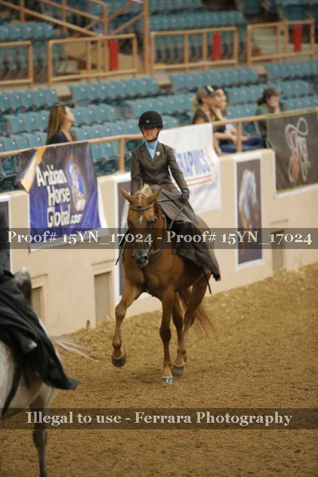 Proof 15YN_17024