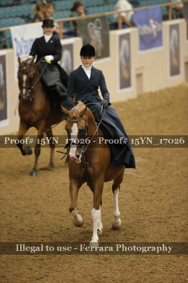 Proof 15YN_17026