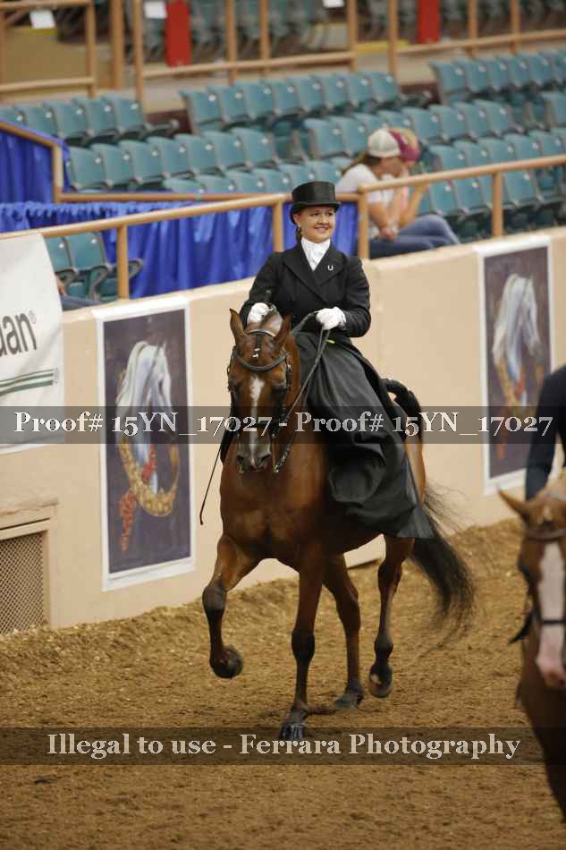 Proof 15YN_17027