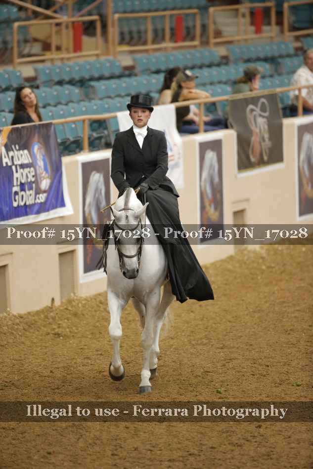 Proof 15YN_17028