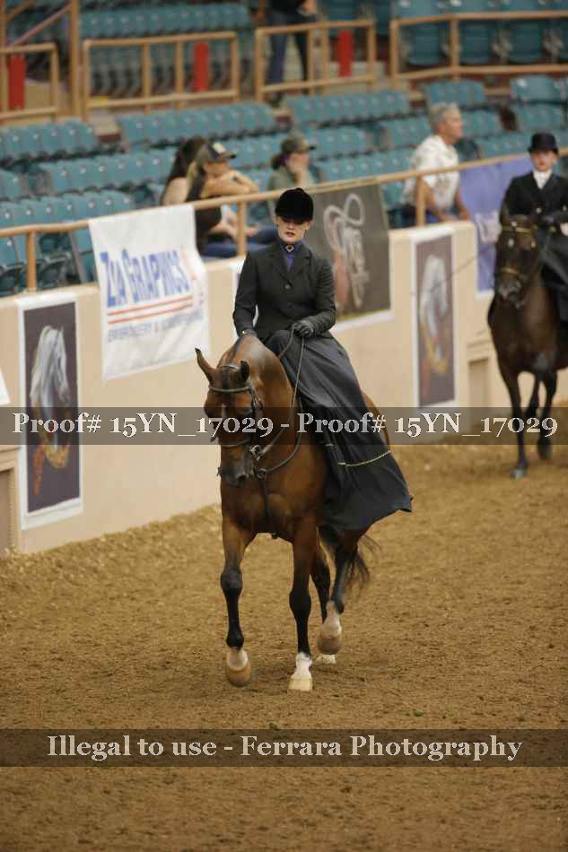 Proof 15YN_17029