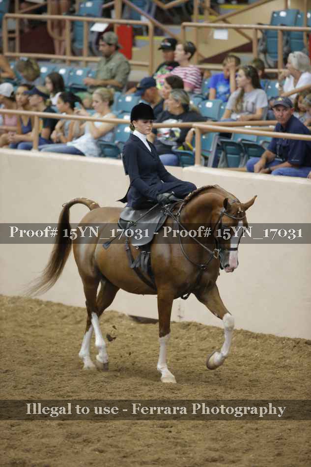 Proof 15YN_17031