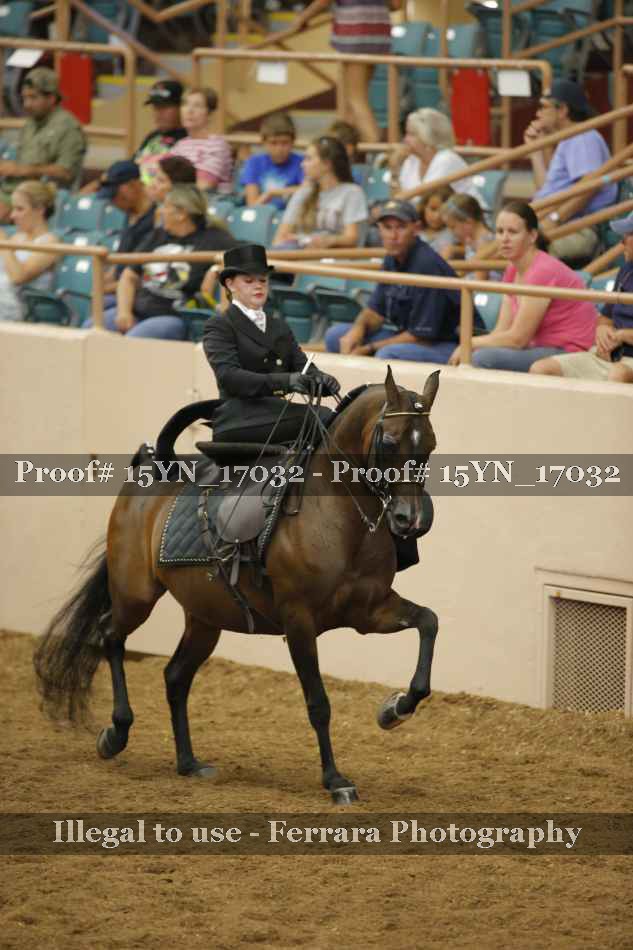 Proof 15YN_17032