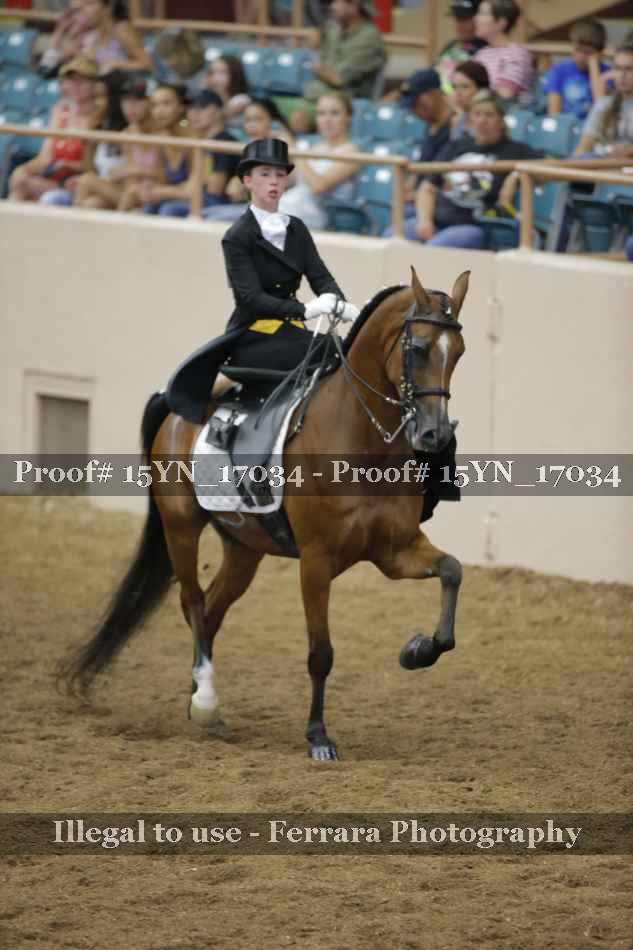 Proof 15YN_17034