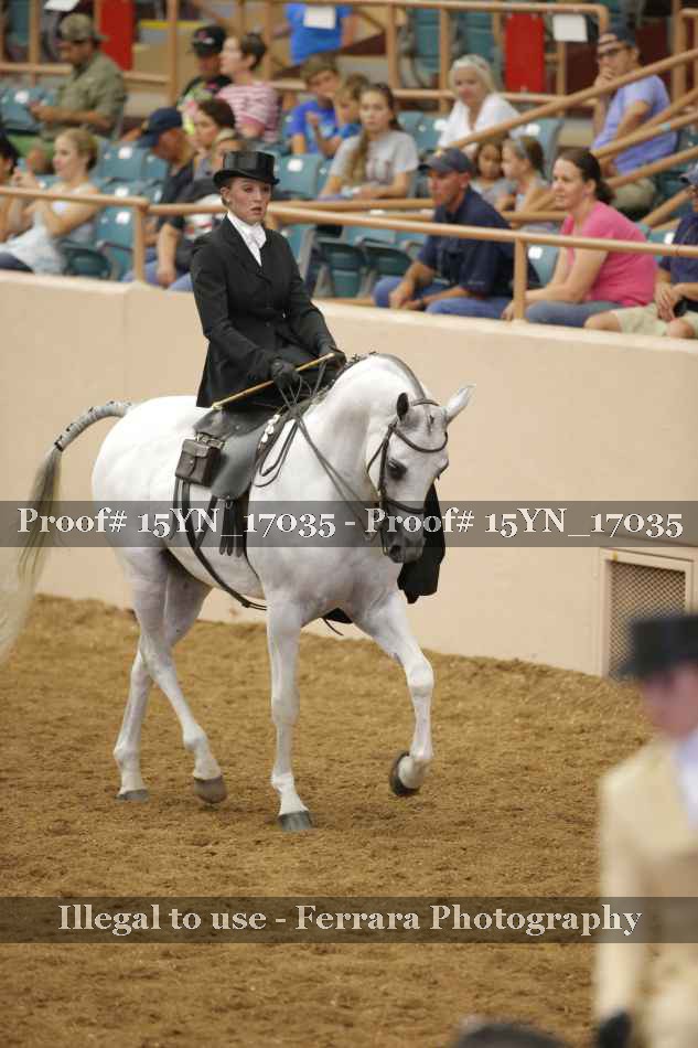 Proof 15YN_17035