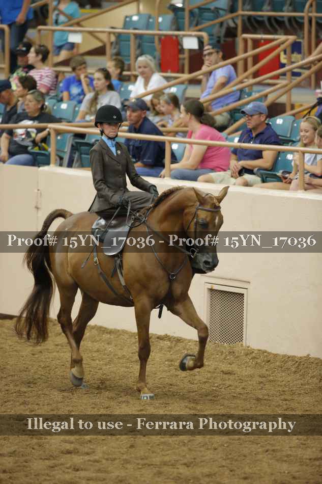 Proof 15YN_17036